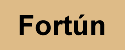 Fortún